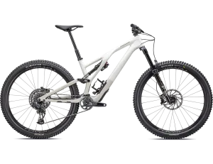Stumpjumper EVO Expert GLOSS BIRCH / TAUPE
